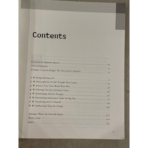 Comprehension Connections by Tanny McGregor - Picture 3 of 3